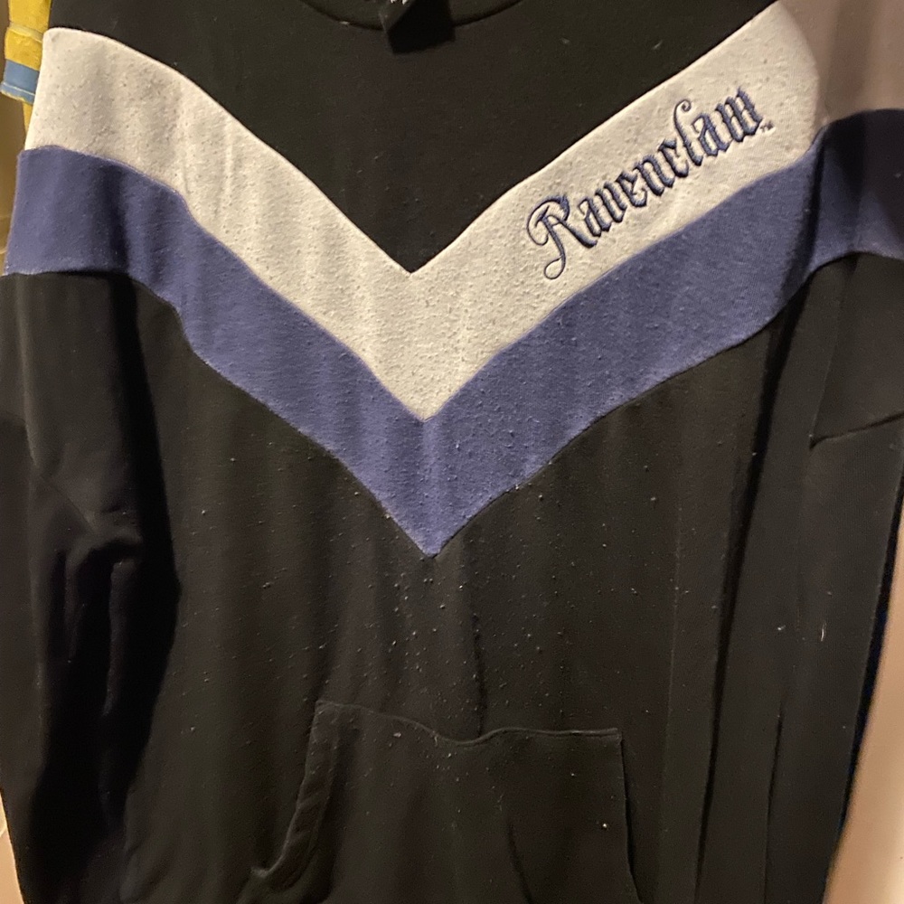 Harry Potter sweater.
